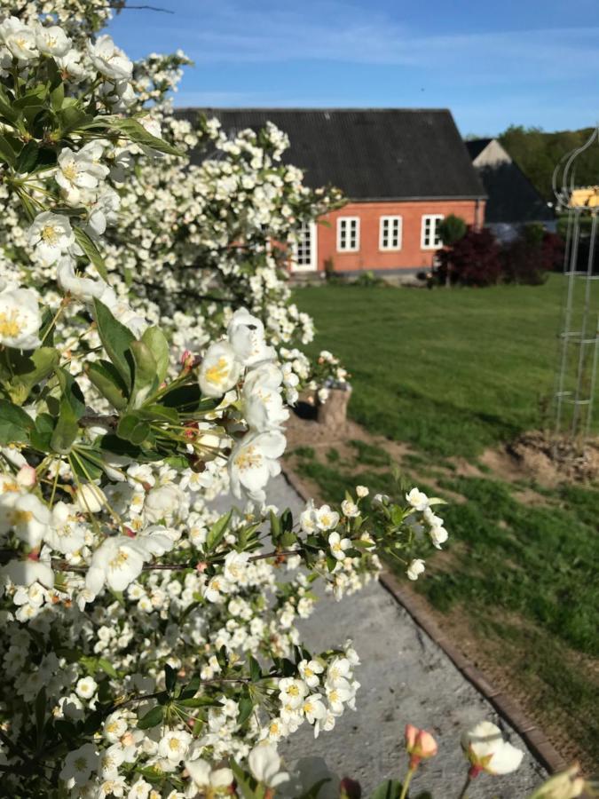 Brorup Kjaersgaard, Hygge, Ro, Natur Og Landliv Skanderborg Bagian luar foto