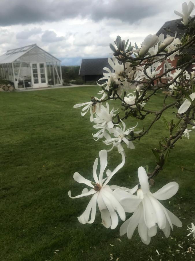 Brorup Kjaersgaard, Hygge, Ro, Natur Og Landliv Skanderborg Bagian luar foto